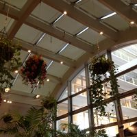 レストランは南国風。観葉植物がたくさんぶらさがってます。