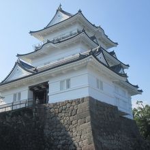 綺麗になった小田原城