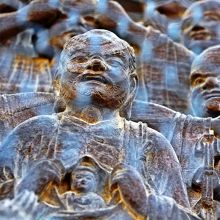 お腹ぱっくりのラゴラ様