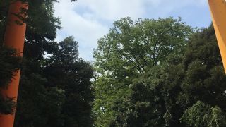 風鈴が綺麗、縁結び神社