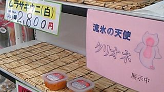 冷凍魚介類を買うならここへ