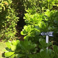 この道を行くと崖に出て、そこから海に降りて行く。冒険だね！