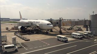 お盆でしたが、思ったより混んでいませんでした