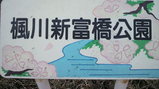 楓川新富橋公園は、高速道路を越える新富橋の南側の横に造成された公園です。