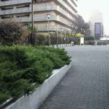 千代橋公園の広場です。奥に見えるのは、国立がんセンターです。