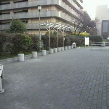 千代橋公園の広場です。奥に見えるのは、国立がんセンターです。