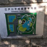 森に囲まれた池のある日本庭園