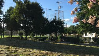 行船公園と隣接しているスポーツ施設のある公園