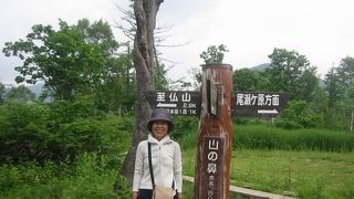 お花畑で満喫しています。