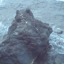 海岸にある岩が見る角度によって 人の横顔に見える岩や寝そべっている熊の姿に見える岩などがあります By Likely Koala 人面岩 寝熊 の岩のクチコミ フォートラベル