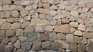 いろいろな発見があります