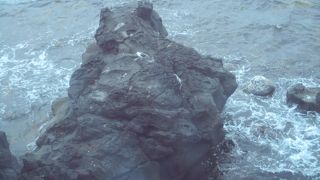 海岸にある岩が見る角度によって、人の横顔に見える岩や寝そべっている熊の姿に見える岩などがあります。