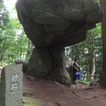 雨宿りもできます