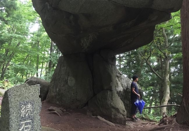 山を登ります