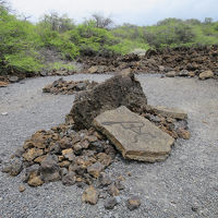 敷地内では古代ハワイのペトログリフ（岩絵）を見れます