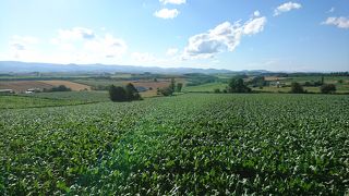 360度畑が広がる丘