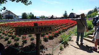 ものすごいチャイニーズ