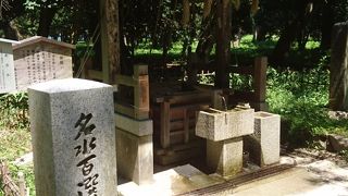 海に囲まれているのにしょっぱくないのは不思議です。