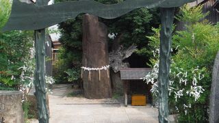 水木しげるロードの真ん中あたりにあります