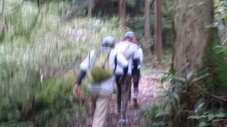 JR高尾～木下沢林道～景信山～小仏～城山へ