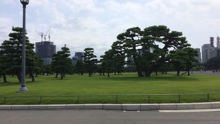 都会の真ん中にこんな静かで自然の多い場所が