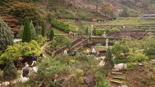 アップダウンはありますが、きれいに整備されています