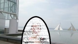 葛西海浜公園、楽しみ方いろいろあります