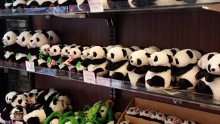 中華街唯一のアミューズメントパーク