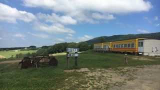 馬、牛、山羊などと触れ合える