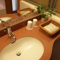 アメニティは簡素なもの。ドライヤーもあります。