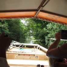 船からの眺めです。木の中を抜けるところです。
