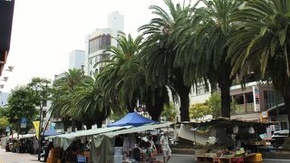 食べ歩きも楽しめます