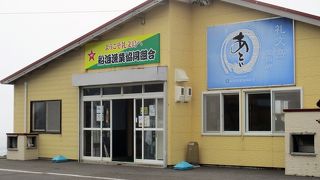 漁協直営の食事処です。近くの海で多数のゴマフアザラシ（胡麻斑海豹）が海の上寝そべっている姿を見学できました。