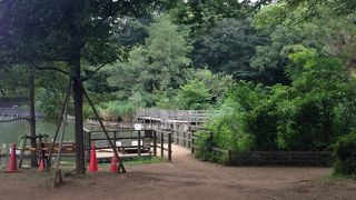 子どもが楽しめる公園