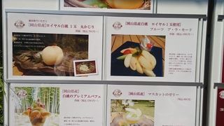 女性が好みそうなカフェ