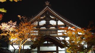 ライトアップ時は行列覚悟