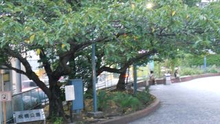 「祝橋」の隣にある小さな公園