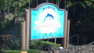 熱帯魚のエサやりが楽しかった♪