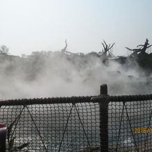 この霧の中を進みます。