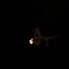 何も写らない。