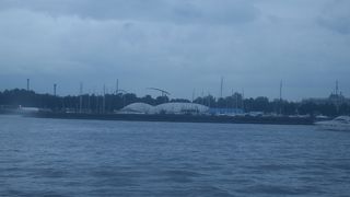 ペテルゴーフ直行