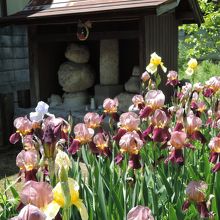 志度寺の駐車場付近