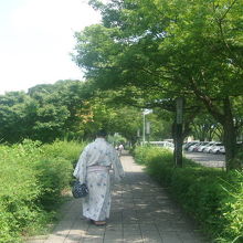 名古屋場所の時期は付近でお相撲さんの姿を多く見かけます