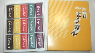 お土産は“ニコンようかん”