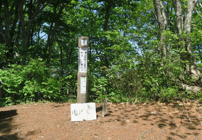 虫が多くて休憩する気にはなれないので、周辺にシートをひいて休憩する事をおすすめします。