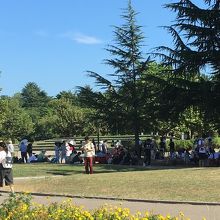 ポケモンマスターの集い(´^ω^｀)