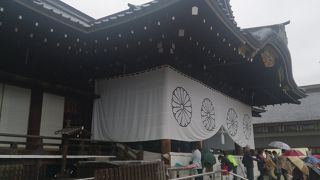 純粋に桜の名所