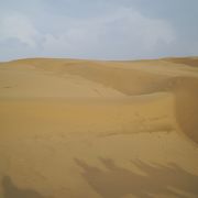 綺麗な砂丘です、風紋も見ることができました
