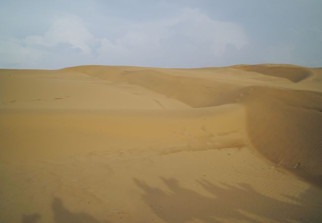 綺麗な砂丘です、風紋も見ることができました