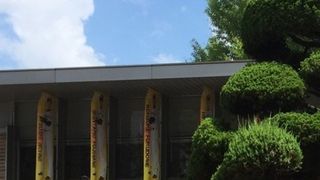 甲子園球場に来たら外せない